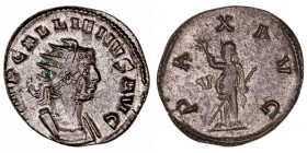 Imperio Romano
Galieno
Antoniniano. VE. Roma. (253-268). R/PAX AVG., a la izq. letra V. 3.52g. RIC.156. EBC-.