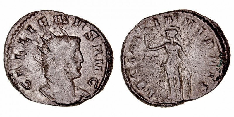 Imperio Romano
Galieno
Antoniniano. VE. Milán. (253-268). R/LEG. I MIN. VI P. ...