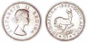 Monedas Extranjeras
Sudáfrica Isabel II
5 Shillings. AR. 1953. 28.11g. KM.52. Suave pátina. EBC-.