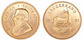 Monedas Extranjeras
Sudáfrica 
Krugerrand. AV. 1981. 34.00g. KM.73. SC-.