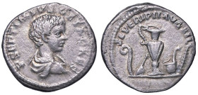 ROMANE IMPERIALI - Geta (209-212) - Denario C. 188; RIC 3  (AG g. 2,89)