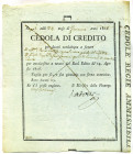 CARTAMONETA - NAPOLI  Cedola di credito, Napoli, 24/01/1808, per 100 ducati