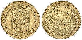 Raccolta di falsi da studio - Restrike collection - Falsi-Restrike (da studio, moderni, ecc.) - Adriano VI (1522-1523) - Fiorino di camera   (AU g. 3,...