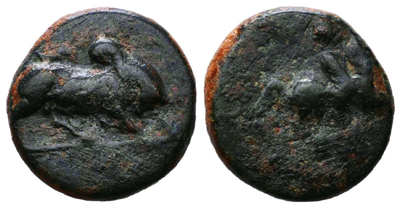 Greek Coins. Circa BC 5th – AD 1st Century.

Reference :
Condition: Very Fine