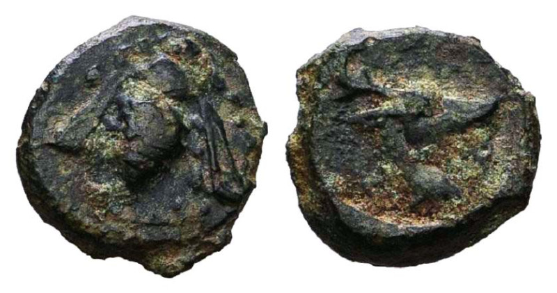 Greek Coins. Circa BC 5th – AD 1st Century.

Reference :
Condition: Very Fine