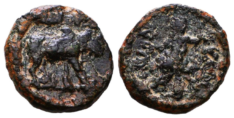 Greek Coins. Circa BC 5th – AD 1st Century.

Reference :
Condition: Very Fine