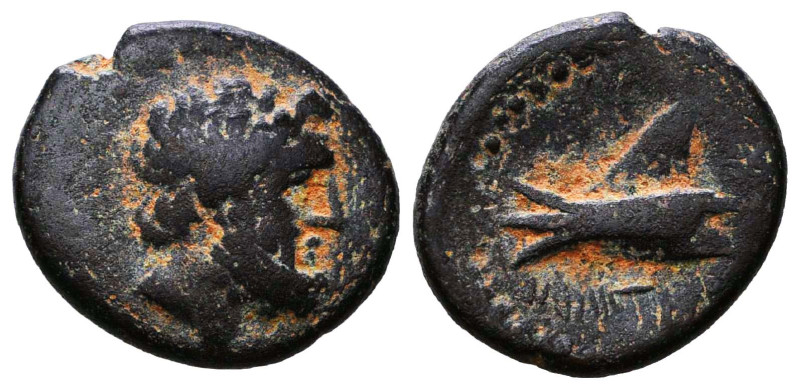 Greek Coins. Circa BC 5th – AD 1st Century.

Reference :
Condition: Very Fine