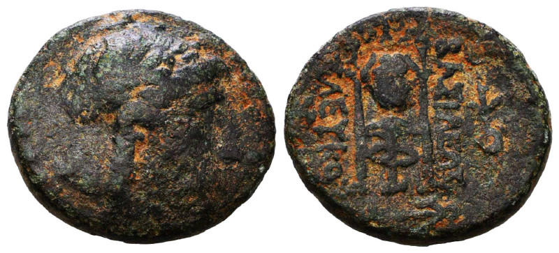 Greek Coins. Circa BC 5th – AD 1st Century.

Reference :
Condition: Very Fine