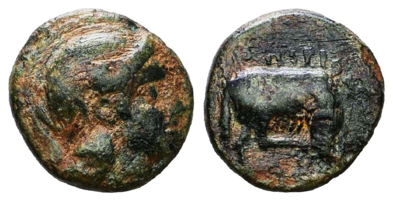 Greek Coins. Circa BC 5th – AD 1st Century.

Reference :
Condition: Very Fine