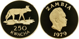 ZAMBIA. 250 Kwacha, 1979. Llantrisant Mint. NGC PROOF-69 Ultra Cameo.
Fr-1; KM-20. Wildlife Conservation series: African wild dog. AGW: 0.9675 oz. Mi...