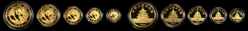 CHINA. Gold Proof Set (5 Pieces), 1988. Panda Series. Average Grade: PROOF.
KM-...