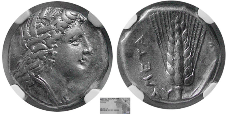 LUCANIA, Metapontum. Circa 330-280 BC. AR Stater. NGC-XF. Obv: Head of Demeter l...