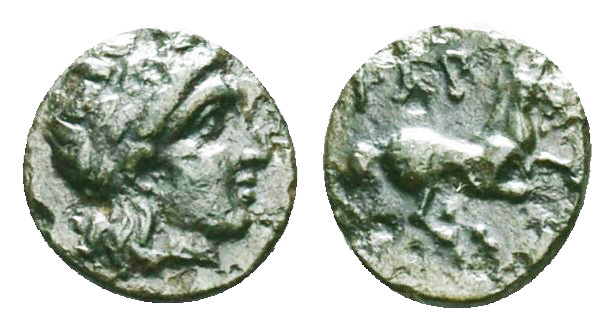 Greek Coins

TROAS. Gargara. Ae (Circa late 3rd - early 2nd century BC).

Ob...