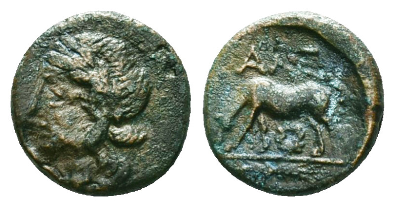 Greek Coins, 

Troas, Alexandria Æ . 3rd-2nd century BC. Laureate head of Apol...