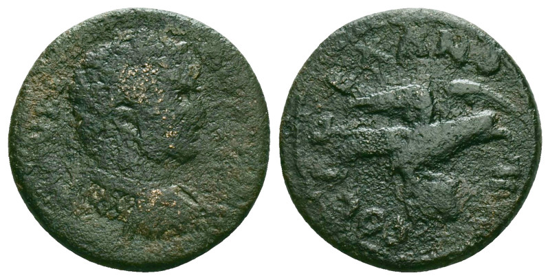 Roman Provincial Coins, Ae



Reference :

Condition: Very Fine

Weight:...