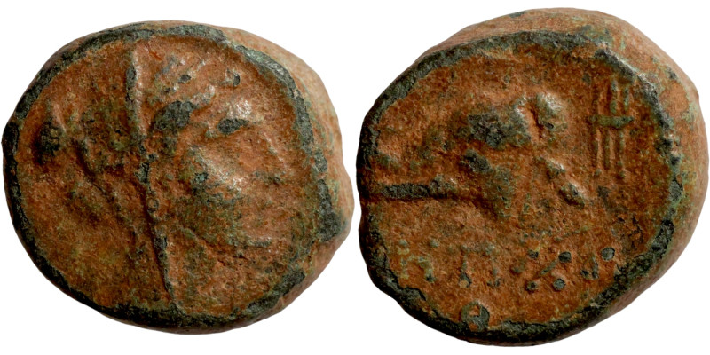 SELEUKID KINGS of SYRIA. Antioch mint. Seleukos IV Epiphanes (175-164 BC). AE br...