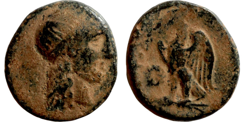 Greek. 3rd-1st century BC. AE bronze

17mm 3,58g