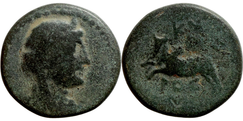 Greek. 3rd-1st century BC. AE bronze

19mm 6,43g