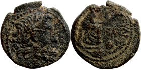 SYRIA. Antioch. Pseudoautonomous (time of Augustus, year 27 = 5/4 BC ?). AE bronze. Obv.: laureate head of Zeus, right; behind, palm branch. Rev.: ΑΝΤ...