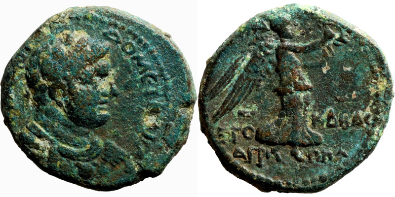 JUDAEA. Tiberias. Domiatian (year, 24 = 83/84 AD). AE bronze. Obv.: ΔΟΜΕΤ ΚΑΙϹΑΡ...