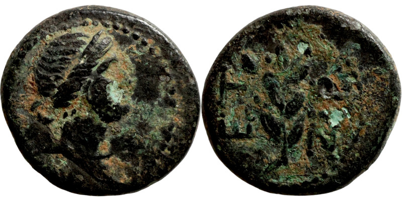 SYRIA. Antioch. Pseudoautonomous (time of Galba and Otho, year 117 = 68/9 AD). A...