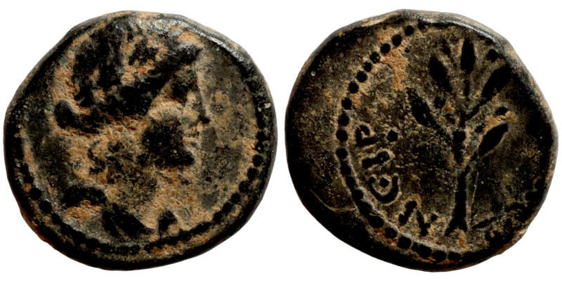 SYRIA. Antioch. Pseudoautonomous (time of Nero ?, year 115 = 66/67 AD). AE bronz...