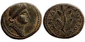 SYRIA. Antioch. Pseudoautonomous (time of Nero, year 104 = 55/56 AD). AE bronze. Obv.: head of Apollo, right. Rev.: ΑΝΤΙΟΧΕΩΝ, ΔΡ; laurel branch...