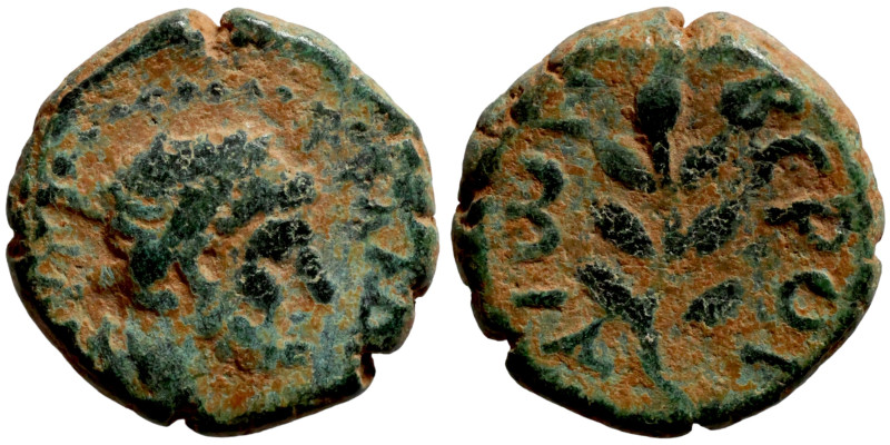 SYRIA. Beroea. Hadrian (117-138 AD). AE bronze. Obv.: ΑΥΤ ΤΡΑ ΑΔΡΙΑΝ; laureate h...