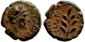 SYRIA. Beroea. Hadrian (117-138 AD). AE bronze. Obv.: ΑΥΤ ΤΡΑ ΑΔΡΙΑΝ; laureate head of Hadrian, right. Rev.: ΒΕΡΟΙ/ΑΙωΝ; laurel branch. RPC III 3436...