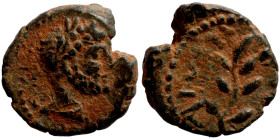 SYRIA. Beroea. Hadrian (117-138 AD). AE bronze. Obv.: ΑΥΤ ΤΡΑ ΑΔΡΙΑΝ; laureate head of Hadrian, right. Rev.: ΒΕΡΟΙ/ΑΙωΝ; laurel branch. RPC III 3436...