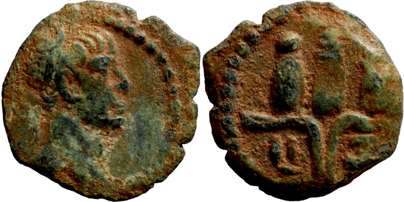 EGYPT. Alexandria. Trajan (year 17 = 113/4 AD). AE bronze. Obv.: laureate head o...