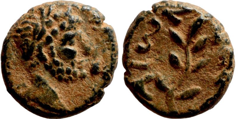 SYRIA. Beroea. Hadrian (117-138 AD). AE bronze. Obv.: ΑΥΤ ΤΡΑ ΑΔΡΙΑΝ; laureate h...