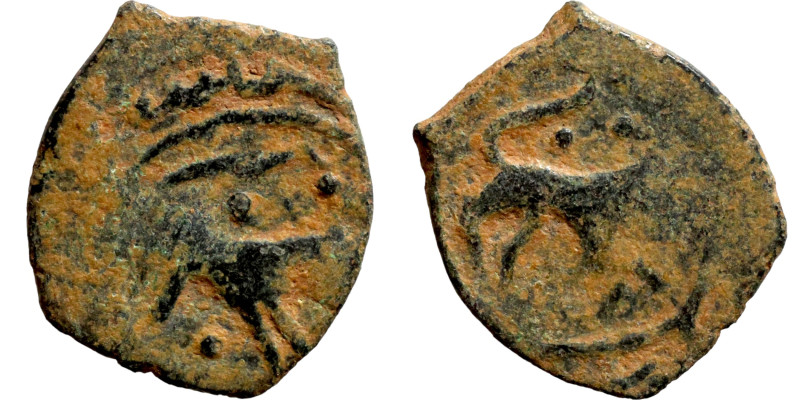 Seljuq (1037–1157) Bronze coin. Obverse: Arabic inscription. Reverse: Arabic ins...