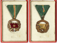 Hungary, Hungary Medal of Merit for Service to the Country, n.d., Bronze Class. 41x37 mm ca. Ae. With original case.