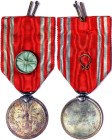 Japan, Hirohito Red Cross Medal, n.d., With cockade. Ø 29 mm ca. White metal. A.UNC