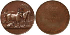 India, Victoria Medal, 1865, SPECIMEN medal award of the agricultural show in Calcutta. Opus: A. B. Wyon. Ø 64 mm. Ae. 124,00 g, Rare XF