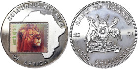 Uganda, 1.000 Shillings, 2001, Lion. Ni. 19,84 g, KM 78, PROOF
