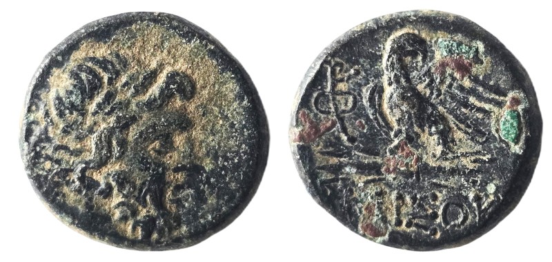 Pontos, Amisos AE ca 100-85 BC
Obv: Laureate head of Zeus right.
Rev: AMIΣOV, ...