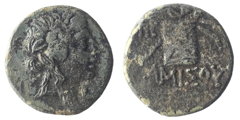 Pontos, Amisos. Time of Mithradates VI Eupator (ca 85-65 BC) AE
Obv: Head of Di...