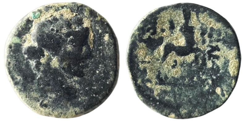 Greek Coıns….Bronze

KINGS of BITHYNIA. Prusias II. 182-149 BC. Æ Wreathed hea...