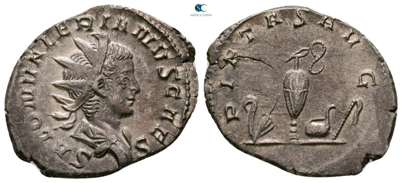 Saloninus, as Caesar AD 258-260. Colonia Agippinensium (Cologne)
Antoninianus A...