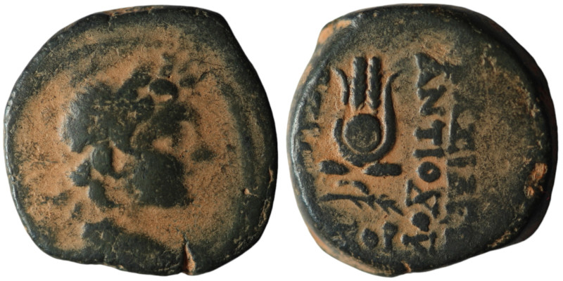 SELEUKID KINGS of SYRIA. Antiochos VII Euergetes (Sidetes), (138-129 BC). Antioc...