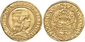 BOLOGNA Giovanni II Bentivoglio (1494-1509) Doppio ducato - MIR 39; R.M. 2 con attribuzione ad Antegnate AU (g 6,84) RR Un altro esemplare, sempre esi...
