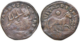 NAPOLI Ferdinando I d'Aragona (1458- 1494) Cavallo - MIR manca MI (g 2,11) RRRR Esemplare come al MIR 85, ma all'esergo T sotto il cavallo e una "aqui...