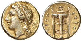 § SIRACUSA Agatocle (310-305 a.C.) 25 Litre simbolo stella - SNG 623 EL (g 3,61)