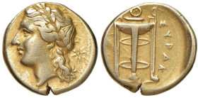 § SIRACUSA Agatocle (310-305 a.C.) 25 Litre simbolo stella - SNG 623 EL (g 3,56)