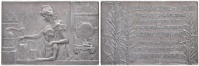 ARGENTINA Placchetta 1905 Posa della prima pietra del Collegio Nazionale della Plata - Opus: J. Gottuzzo - AG (g 43,30 - 58x38,50 mm)