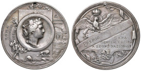 ROMA Medaglia premio 1895 II Gara Generale di Tiro a Segno Nazionale, Roma - Edizione degli Stabilimenti Stefano Johnson di Milano - AG (g 22,30 - Ø 3...