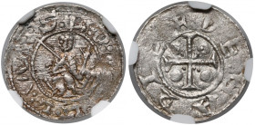 Bolesław III Krzywousty, Denar - Książę na tronie - DENARIS R4