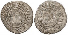 Kazimierz III Wielki, Półgrosz (kwartnik duży) Kraków - rzadka interpunkcja R4